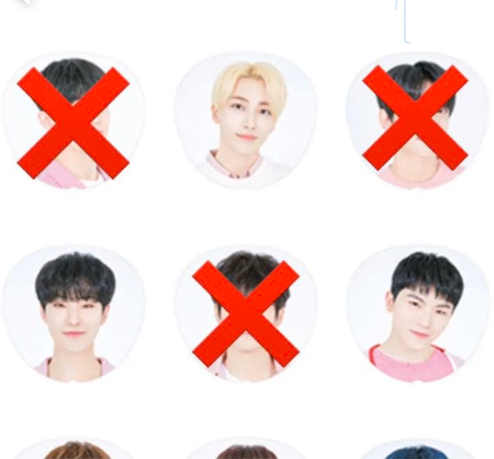 SEVENTEEN HARU うちわ