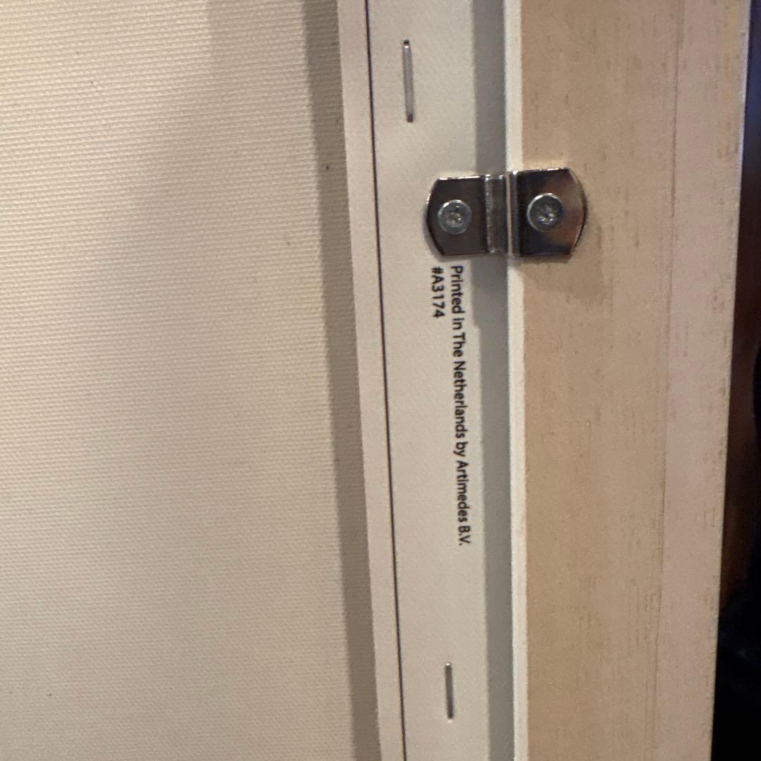 ゴッホ イーブイ キャンバス Sサイズ 白枠付き