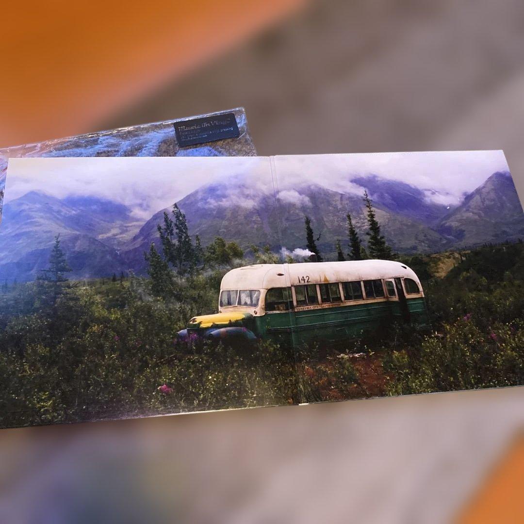 Into the Wild サウンドトラック LPレコード