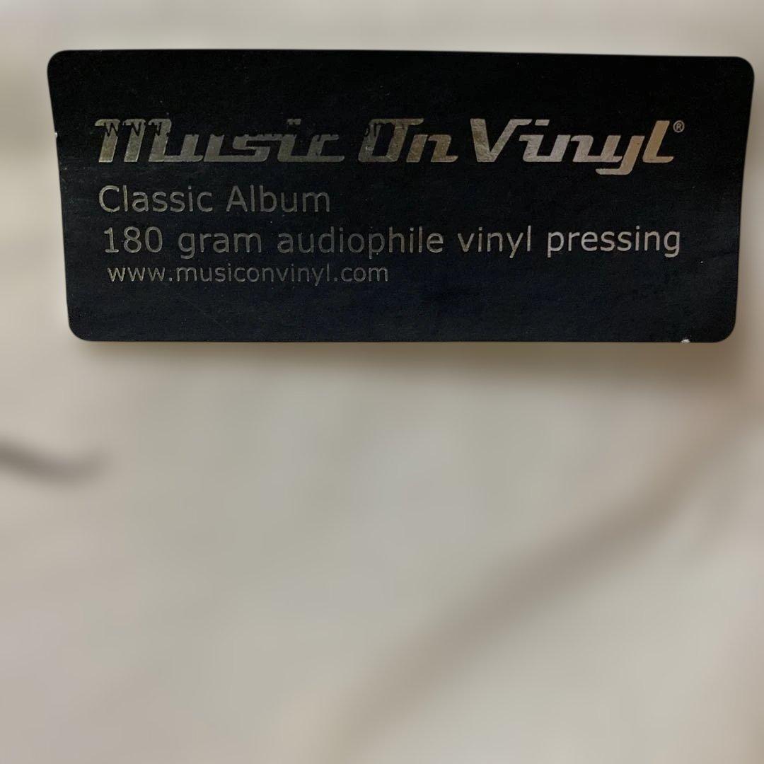 Into the Wild サウンドトラック LPレコード