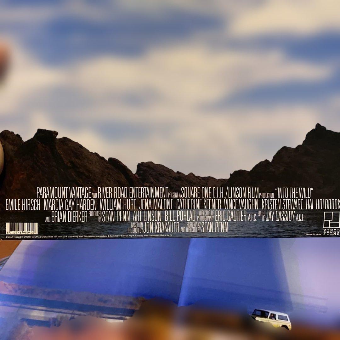 Into the Wild サウンドトラック LPレコード