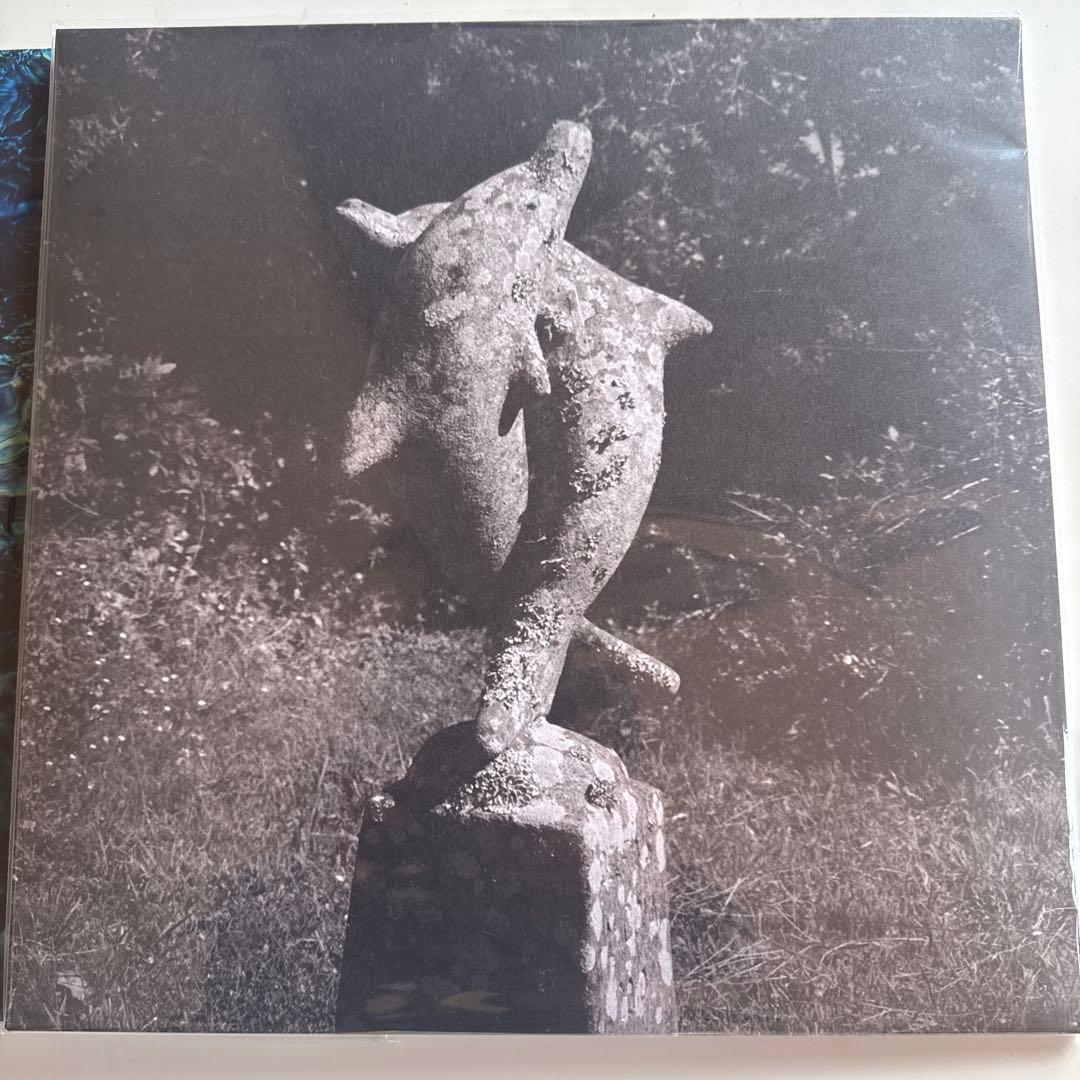 青葉市子singlecollectionとCreatures初回限定デラックス