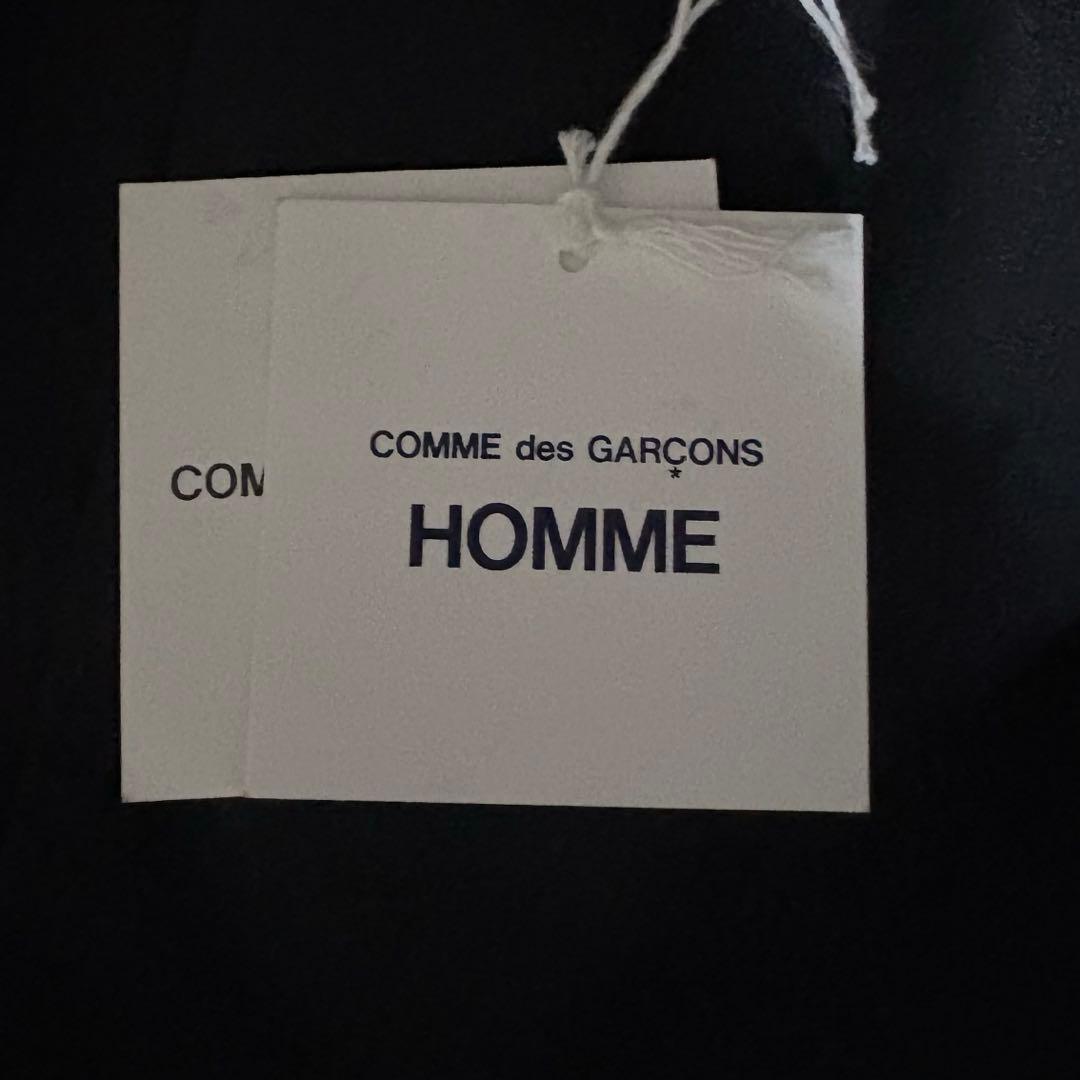 COMME des GARCONS HOMME エステルツイル イージーパンツ
