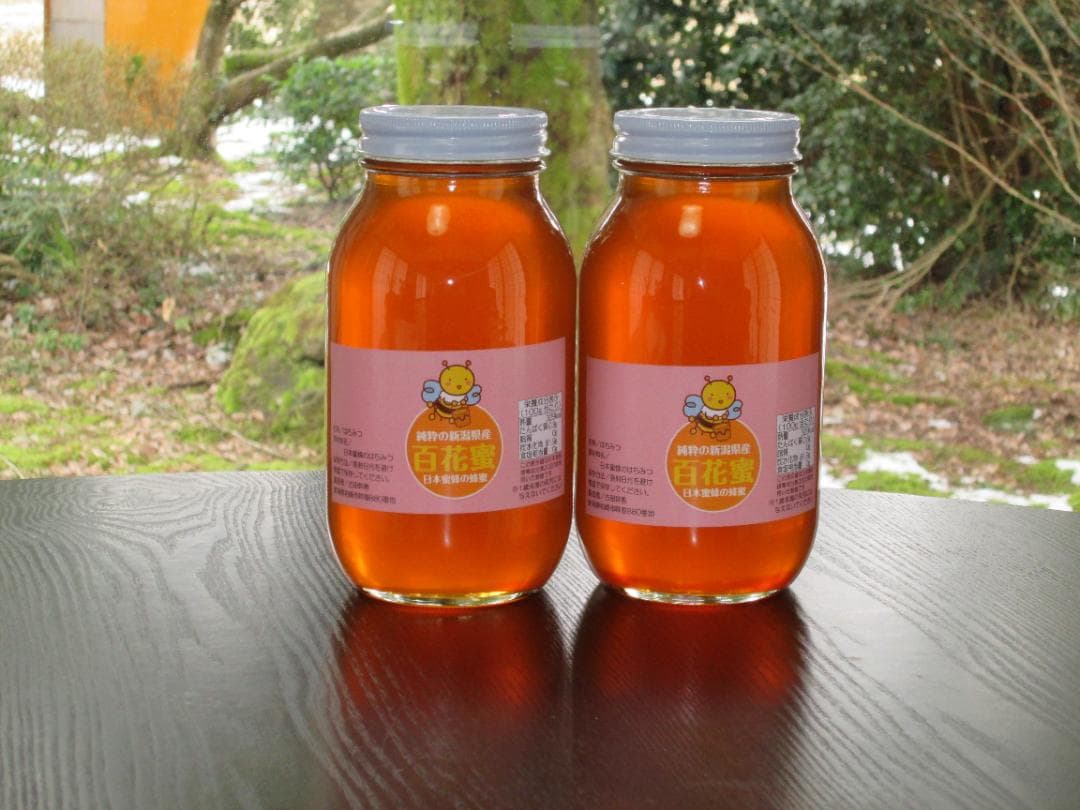 日本ミツバチ（日本蜜蜂）の蜂蜜　2本合計２，４ｋｇ