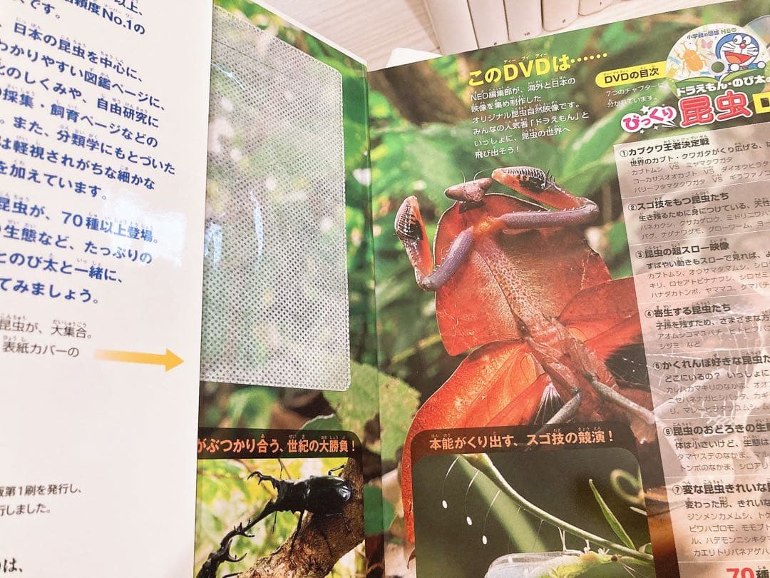 小学館の図鑑NEO 全12冊