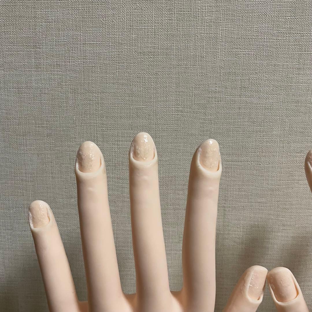 JNEC 認定モデルハンド　付属品、説明書付き