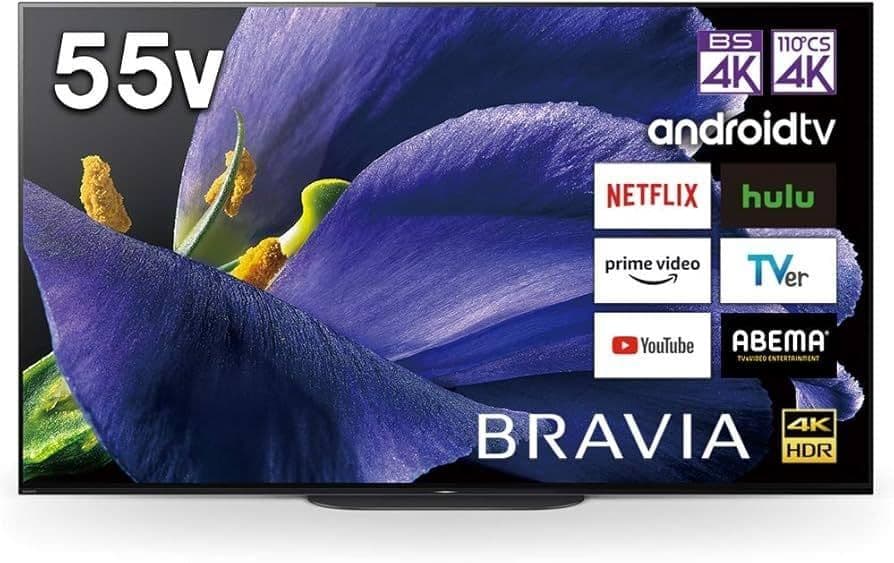値下げ‼️19年製55V型SONYBRAVIA KJ-55A9G 4K 有機EL
