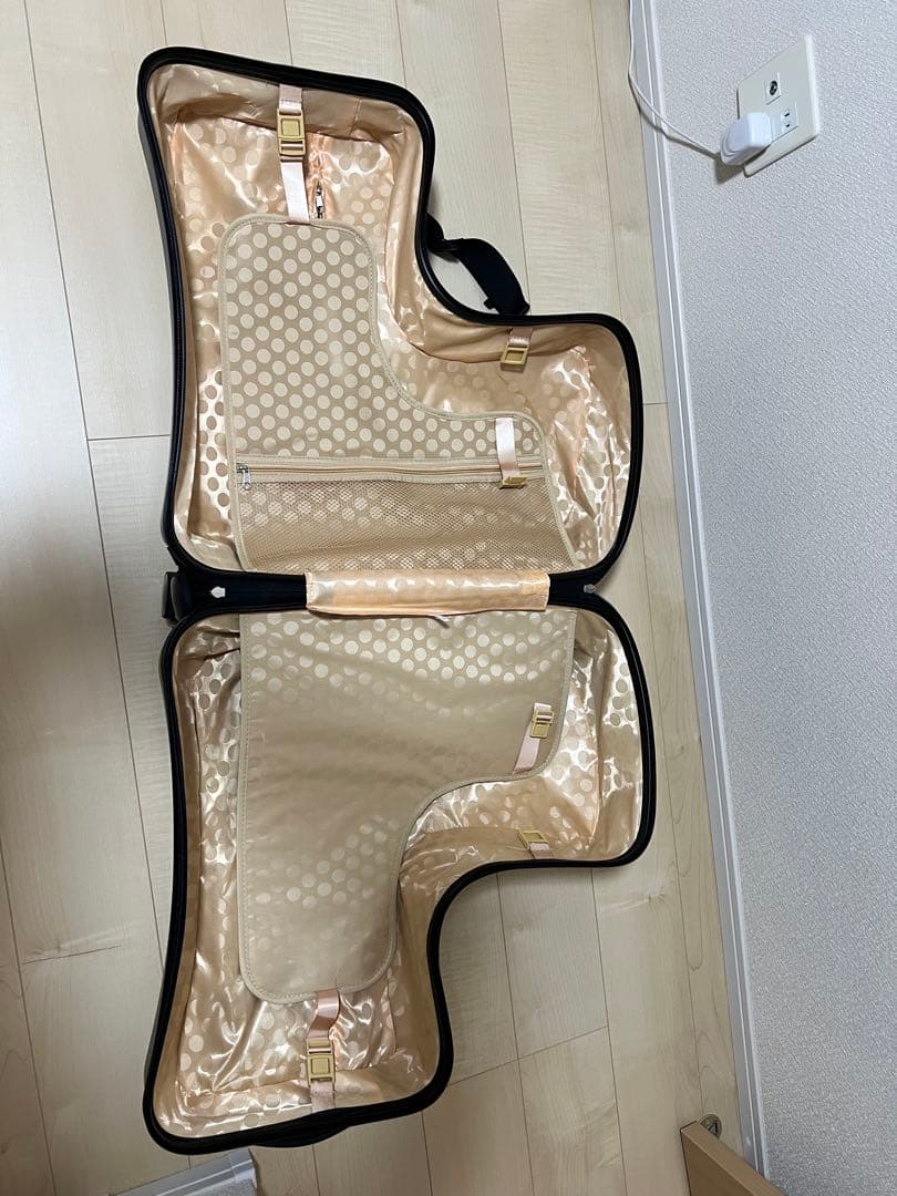 子供が乗れるキャリーケース