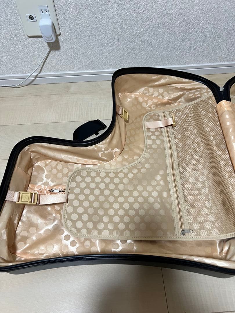 子供が乗れるキャリーケース