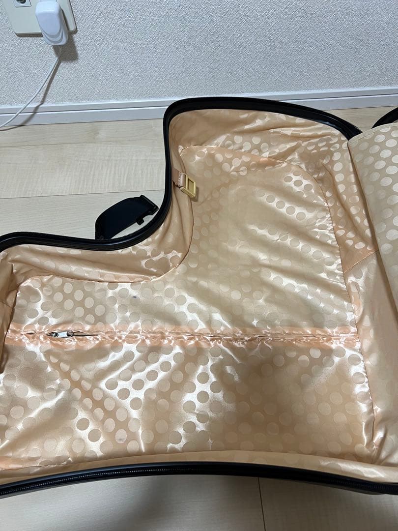 子供が乗れるキャリーケース