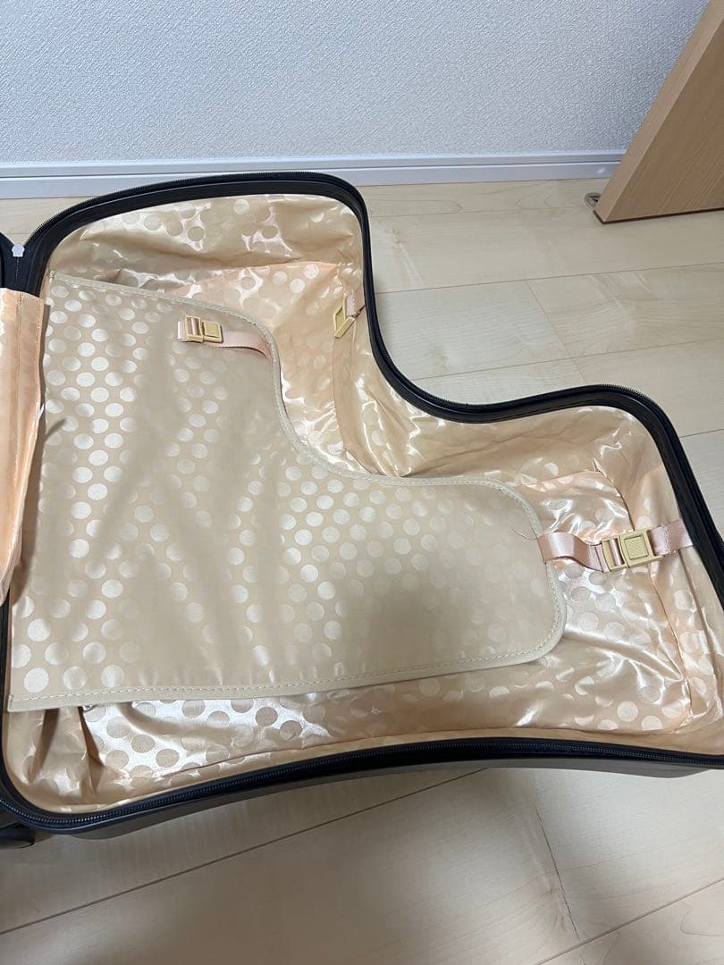 子供が乗れるキャリーケース