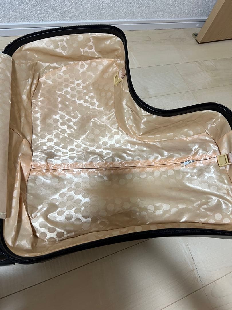 子供が乗れるキャリーケース