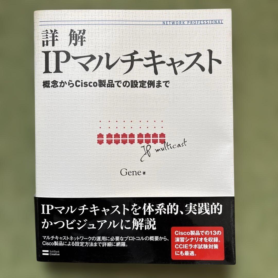 詳解 IPマルチキャスト