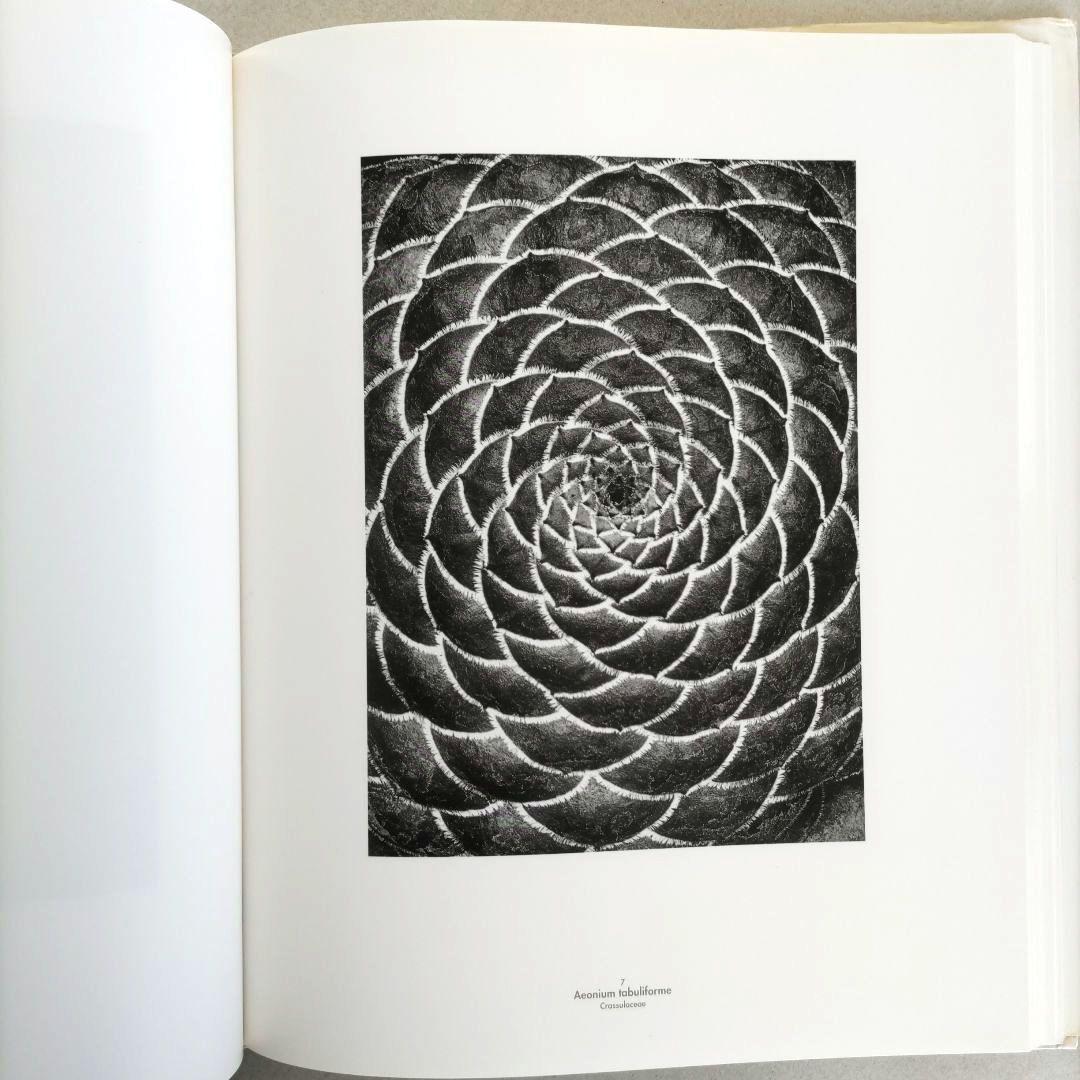 Die Welt der Pflanze/アルベルト・レンガー=パッチュ 写真集