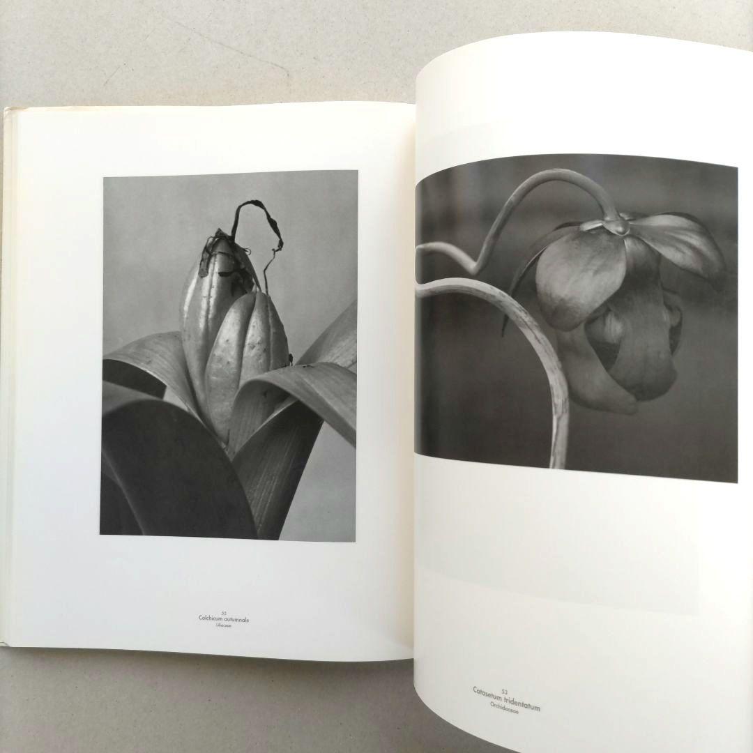 Die Welt der Pflanze/アルベルト・レンガー=パッチュ 写真集