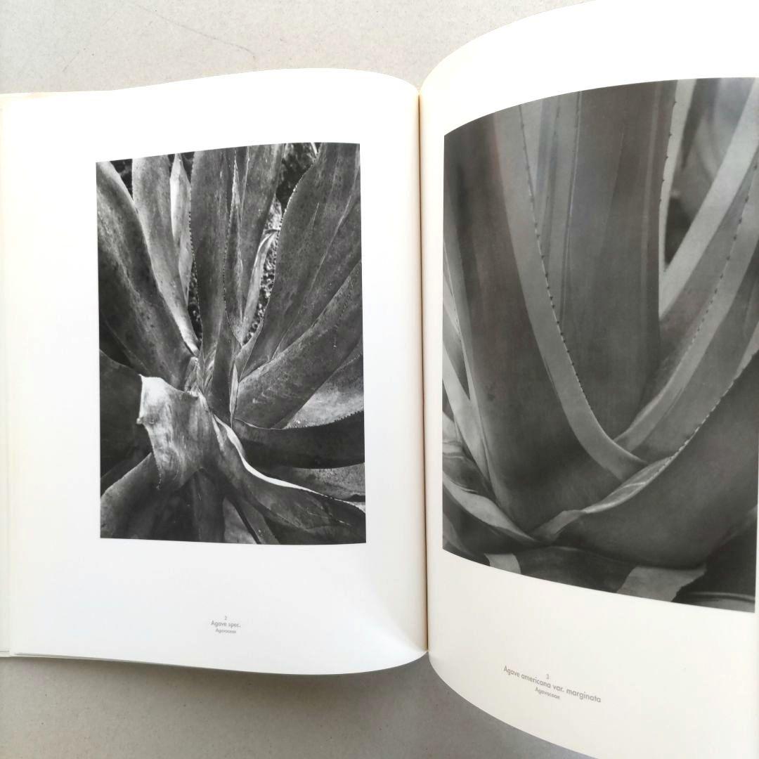 Die Welt der Pflanze/アルベルト・レンガー=パッチュ 写真集