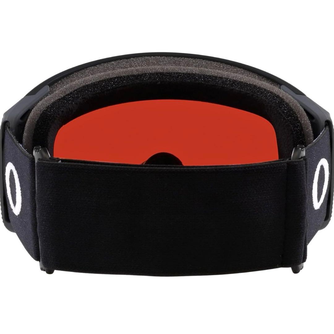 となりのたぬき