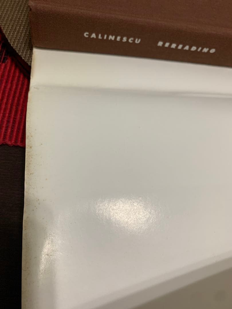 希少　Rereading Matei Calinescu