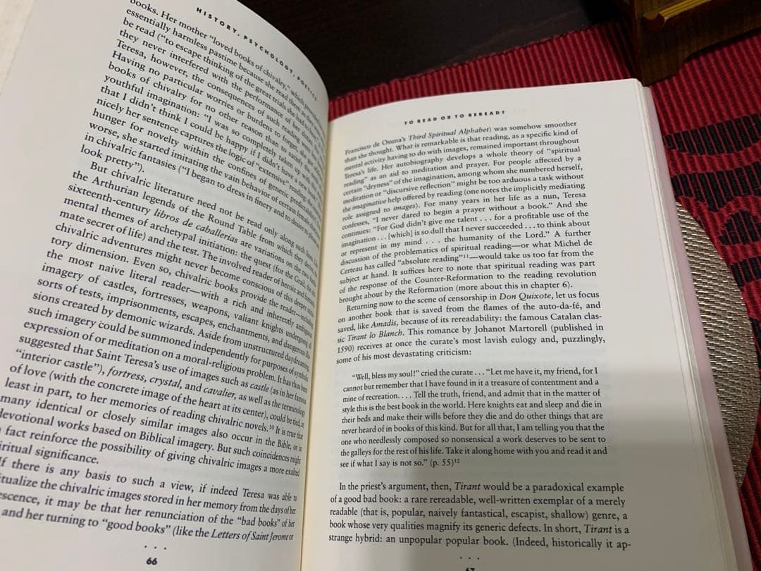 希少　Rereading Matei Calinescu