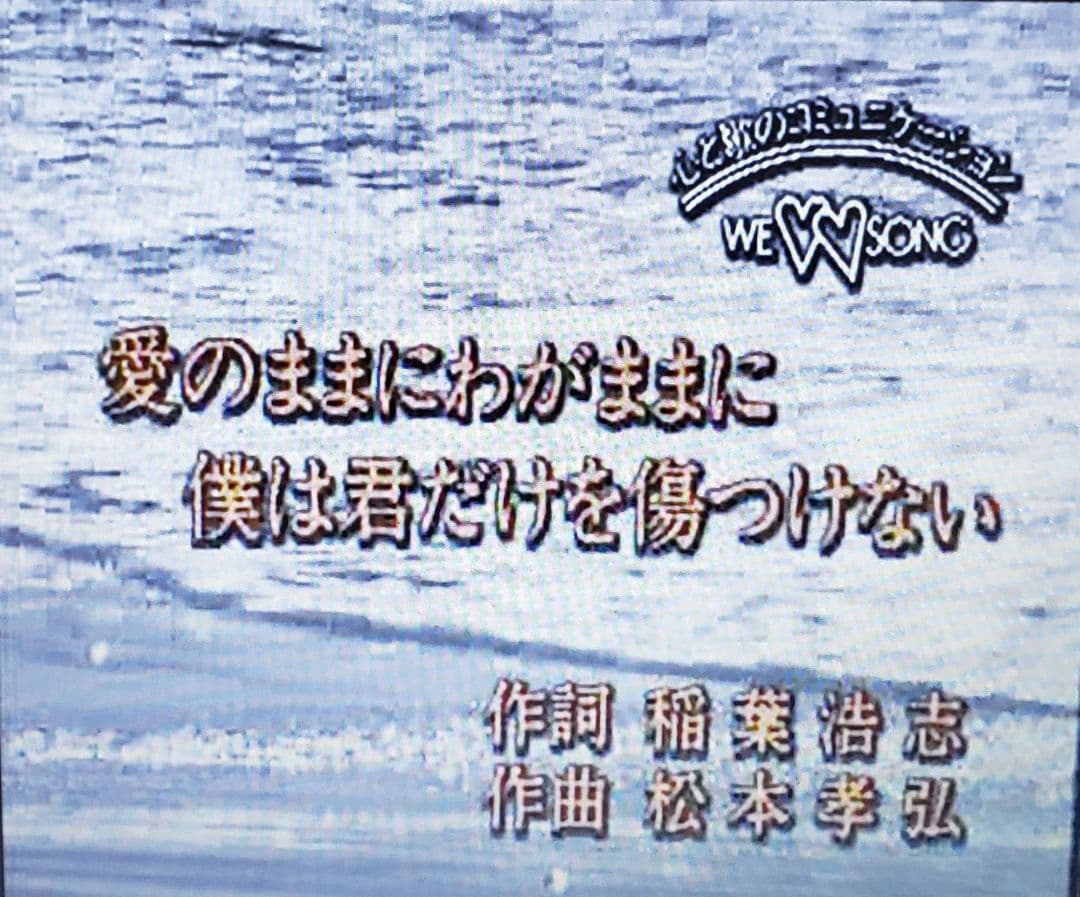 第一興商 カラオケ VCD『B'z 他 』全16曲です。