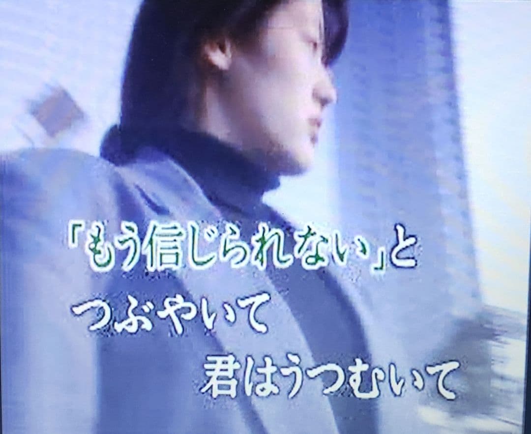 第一興商 カラオケ VCD『B'z 他 』全16曲です。