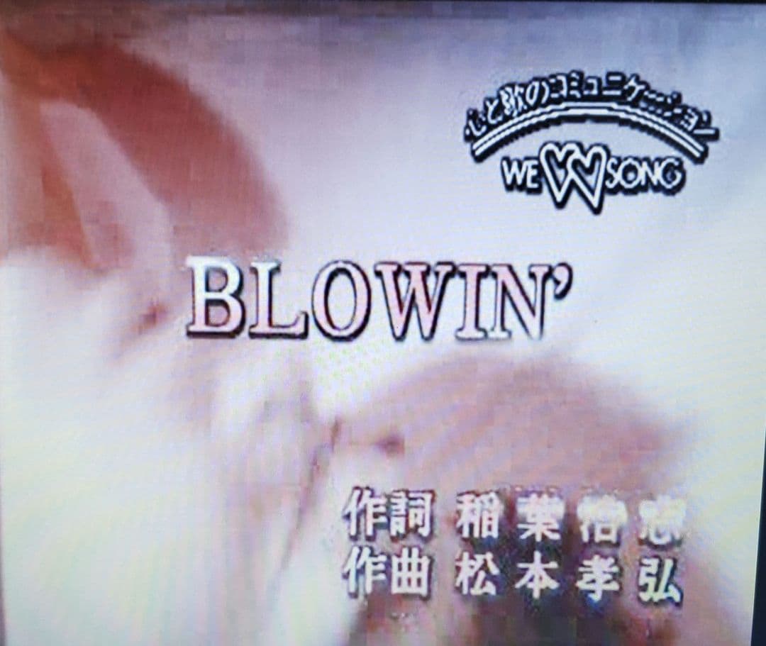 第一興商 カラオケ VCD『B'z 他 』全16曲です。