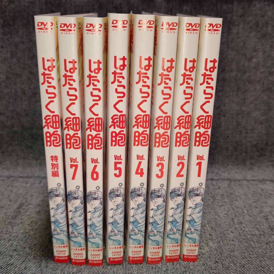 新品ケース付 はたらく細胞 全７巻セット＋特別編