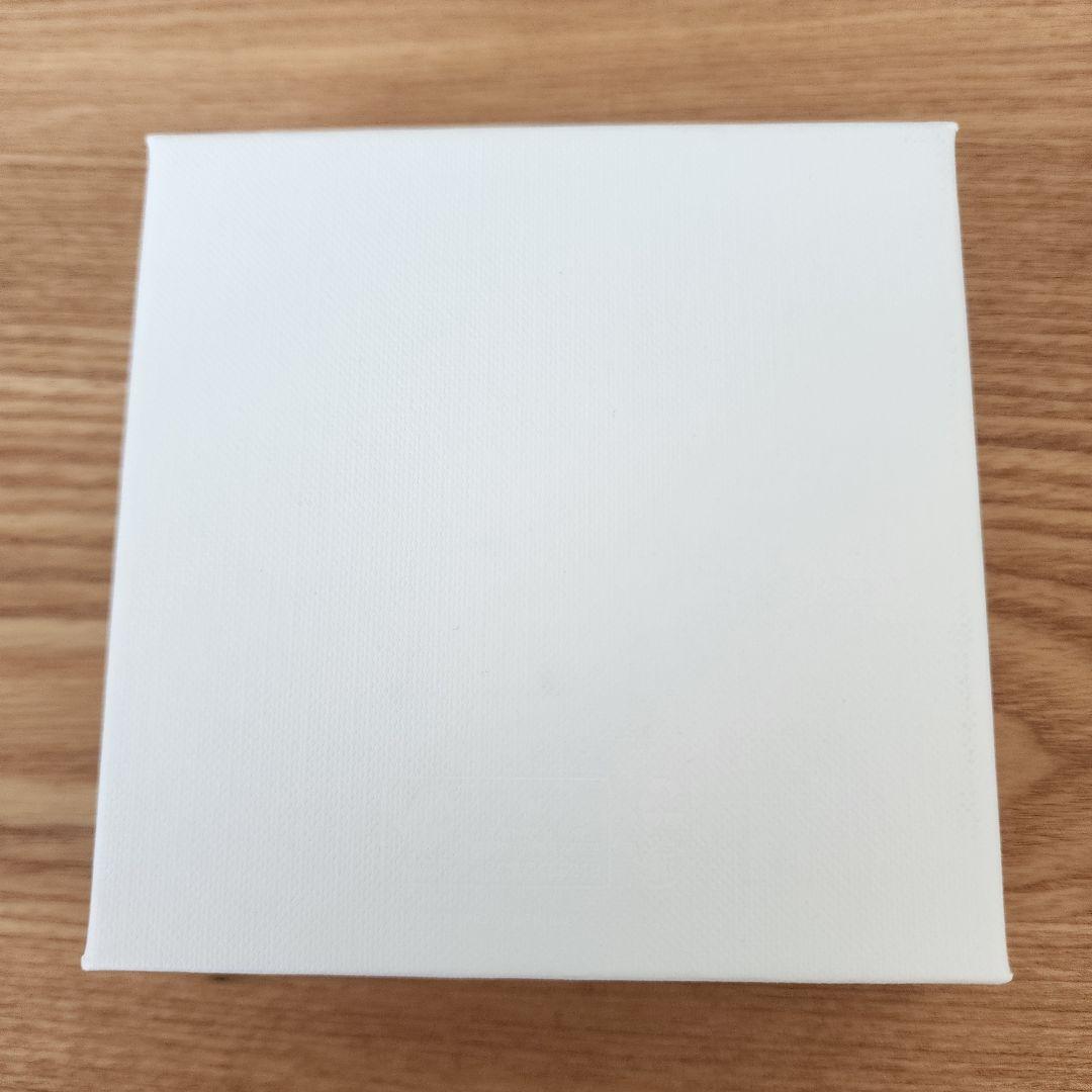 CELINE トリオンフ ヘアクリップセット