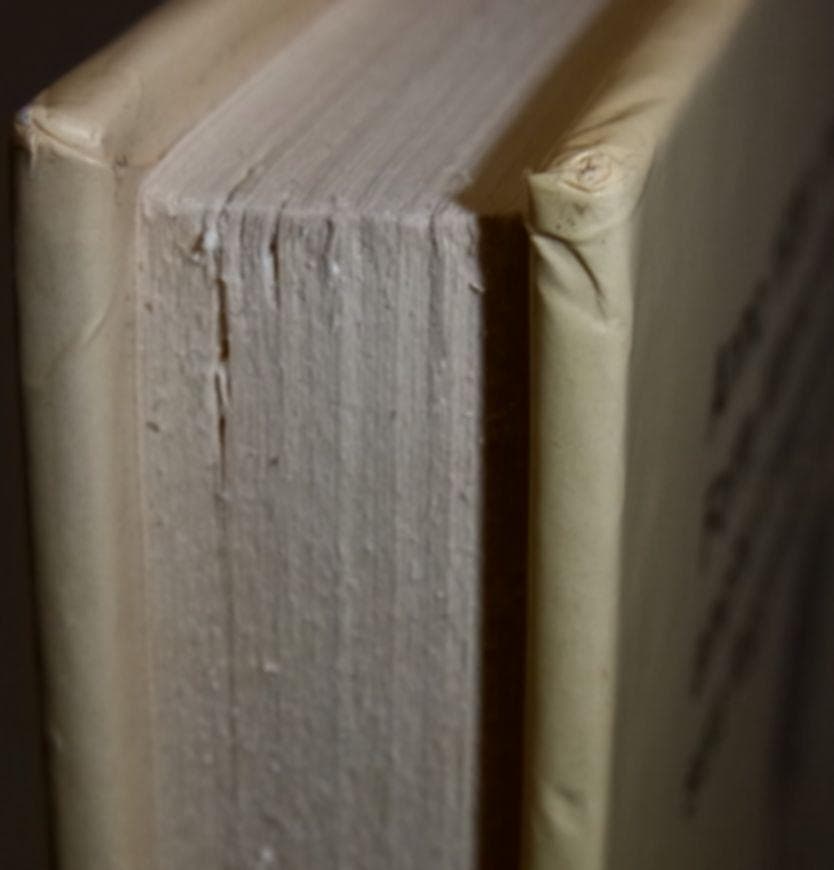 洋書 Il figlio di Davy Crockett