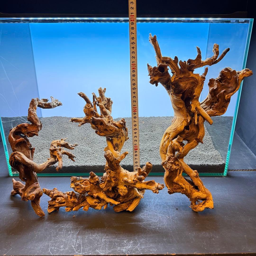 MSW-7099 天然流木 3本セット　枝流木　アクアリウム
