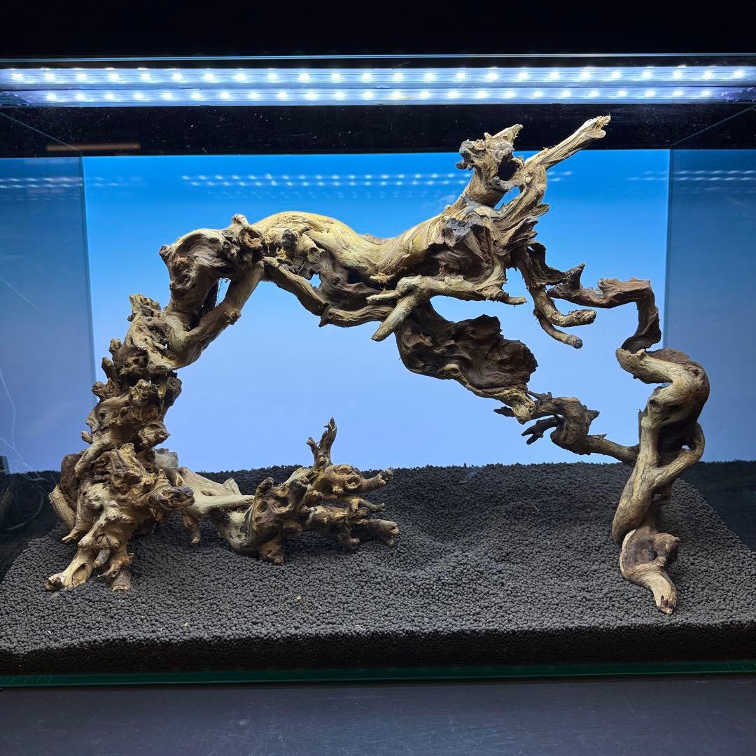 MSW-7099 天然流木 3本セット　枝流木　アクアリウム
