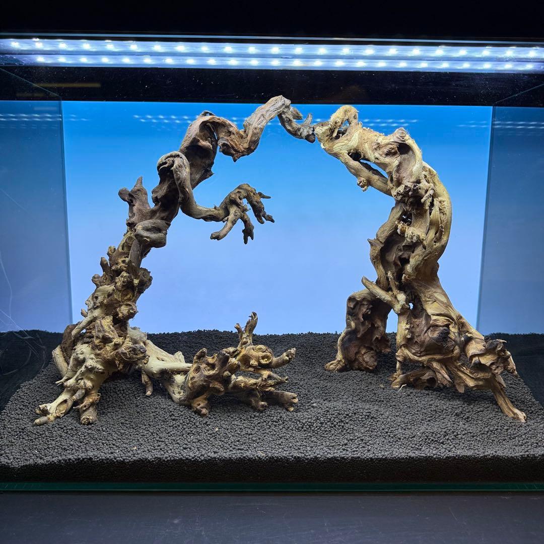 MSW-7099 天然流木 3本セット　枝流木　アクアリウム