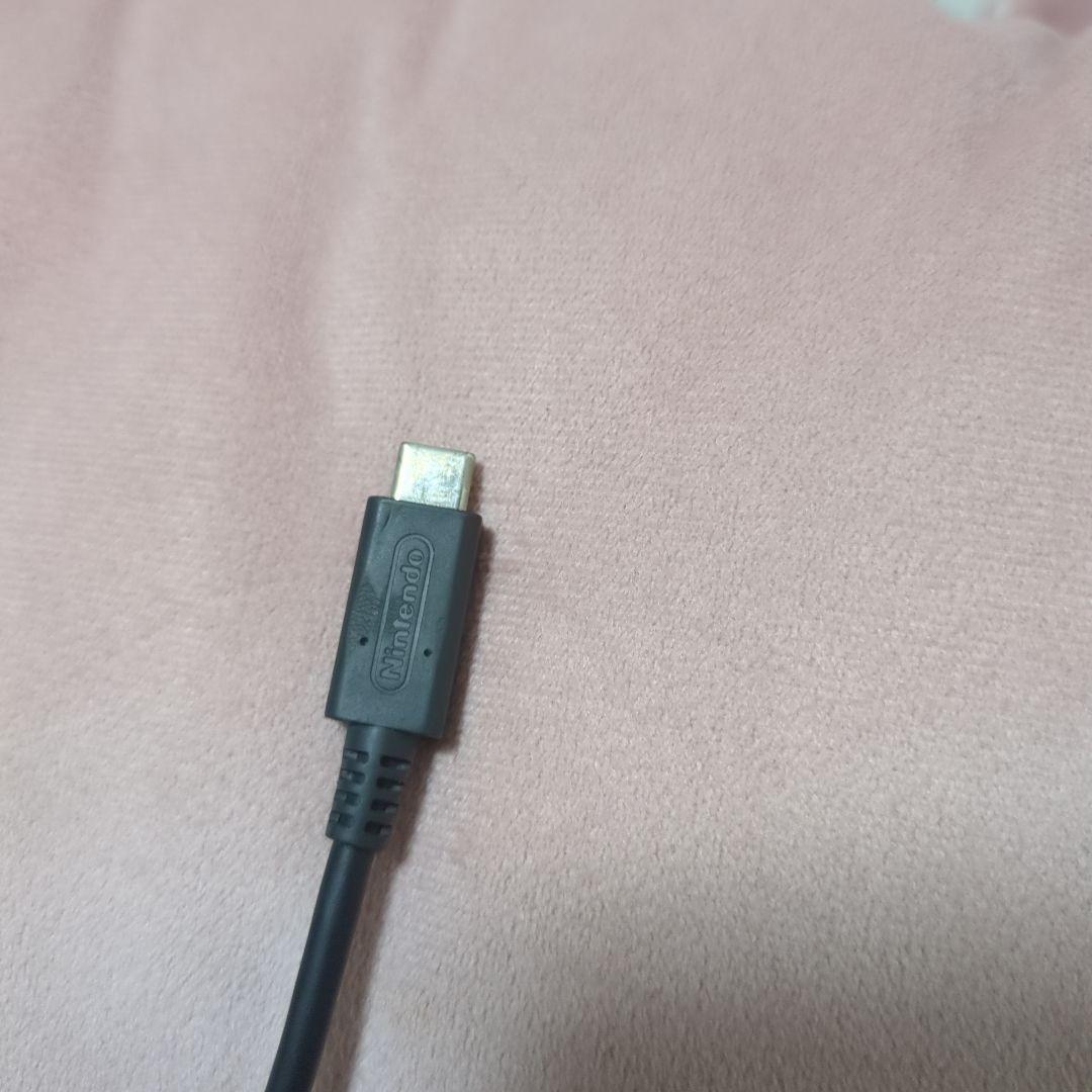 Nintendo Switch Lite ターコイズ　（充電器付）