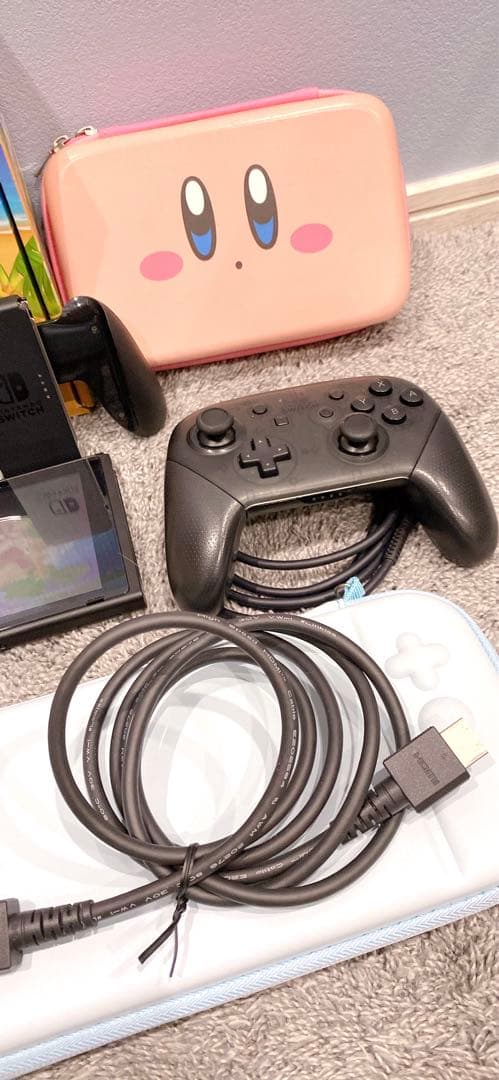 Nintendo Switch本体あつまれどうぶつの森セット、プロコン、おまけ付