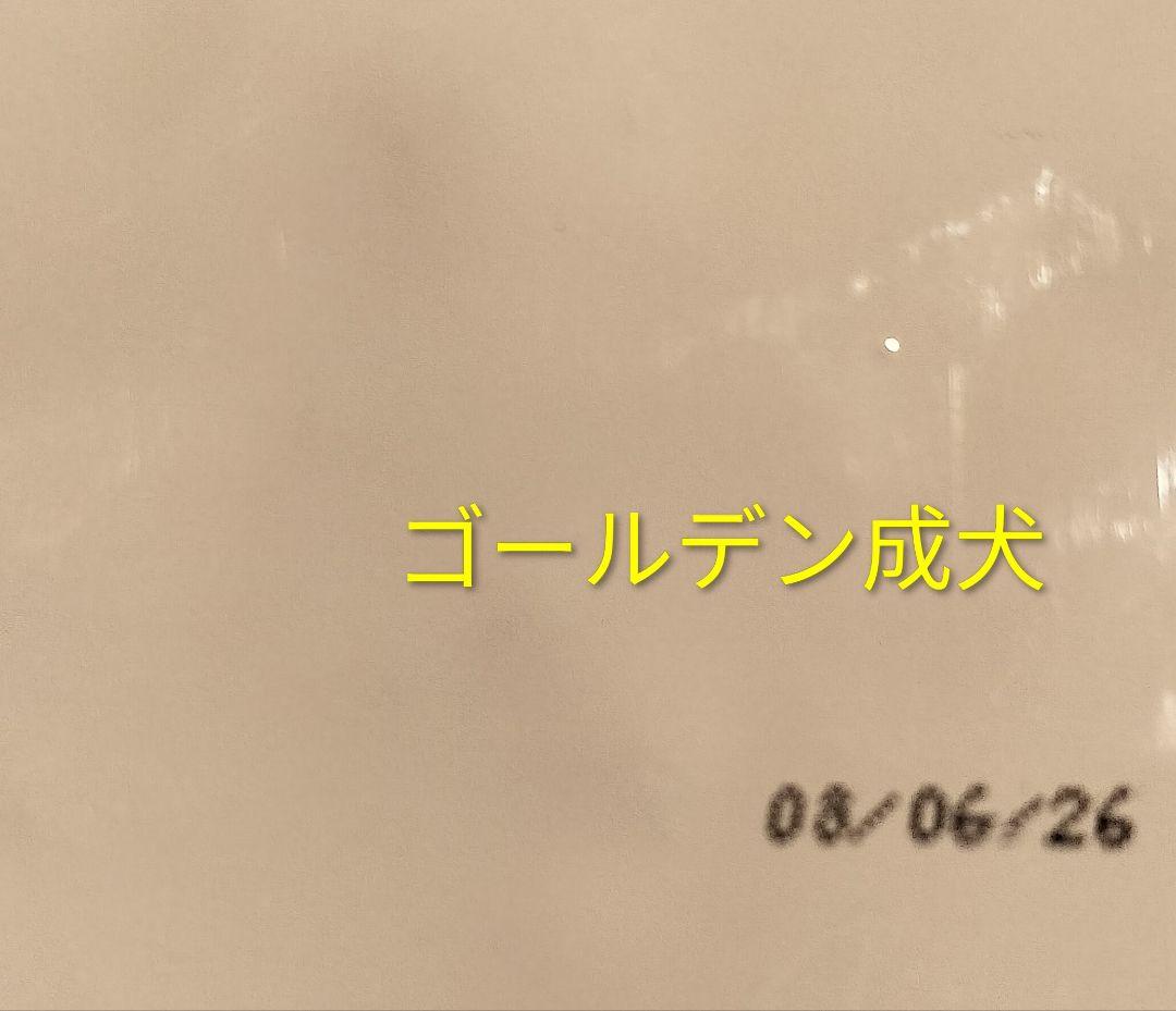 ロイヤルカナン　ゴールデンレトリバー　12キロ