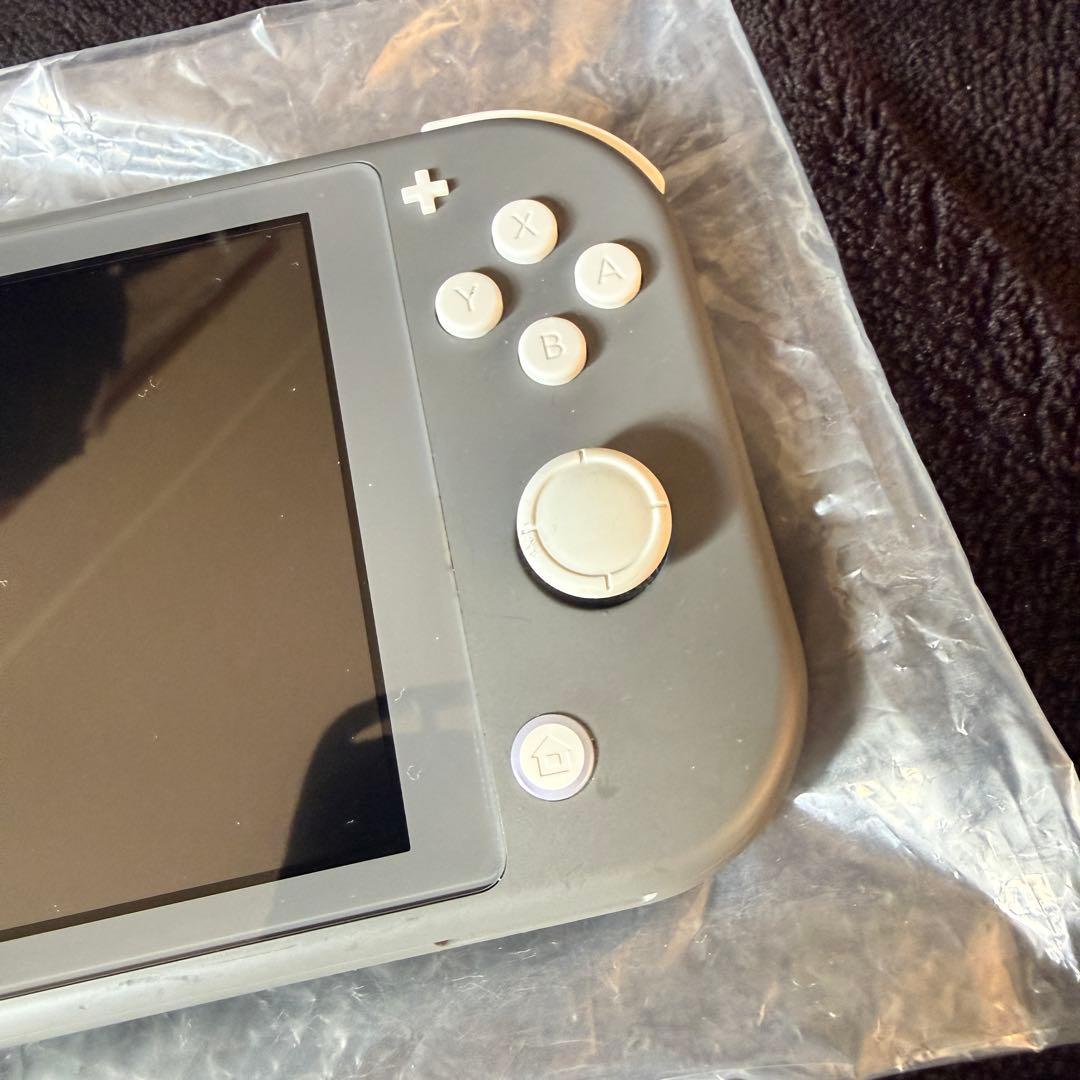 Nintendo Switch Lite グレー 本体　ケース付