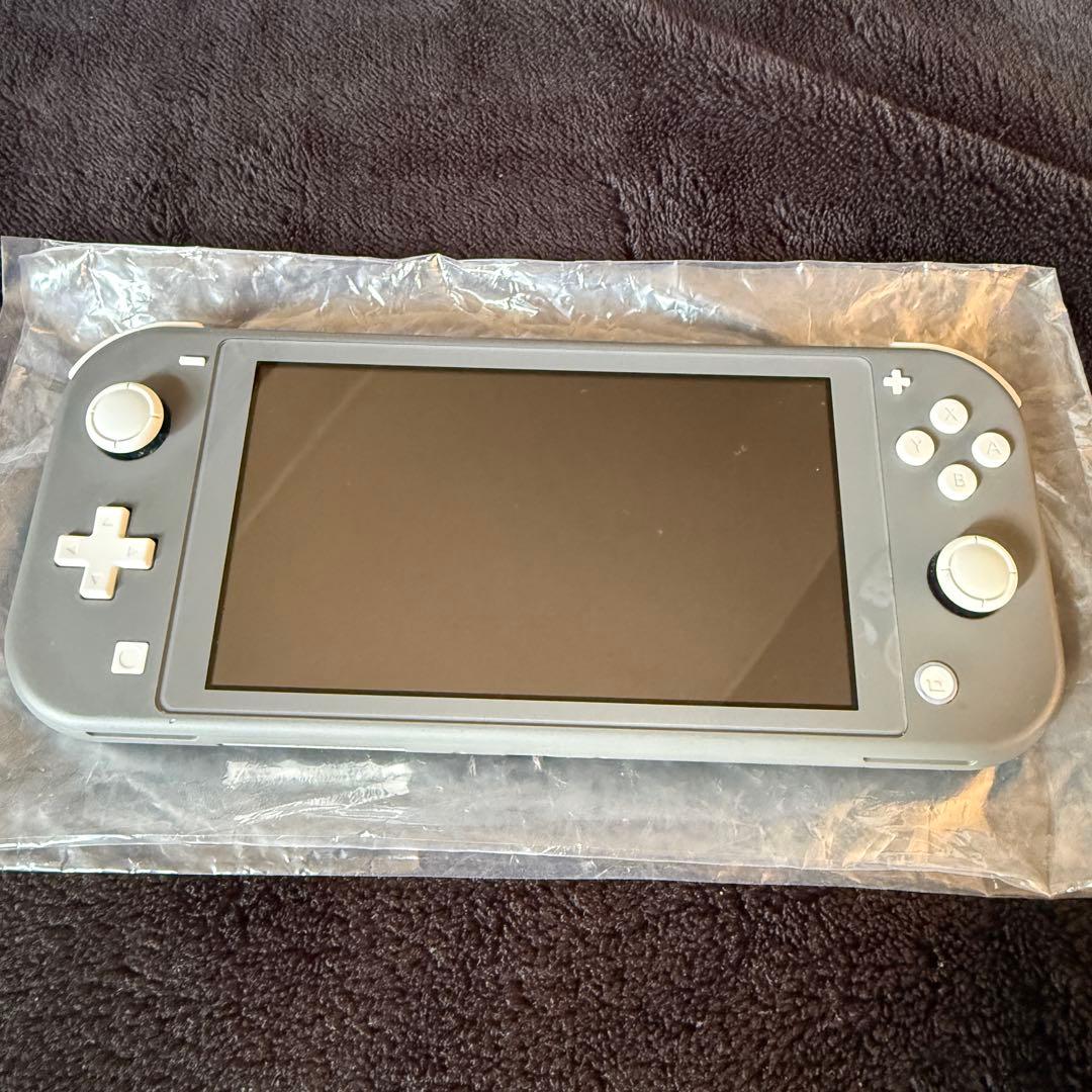 Nintendo Switch Lite グレー 本体　ケース付