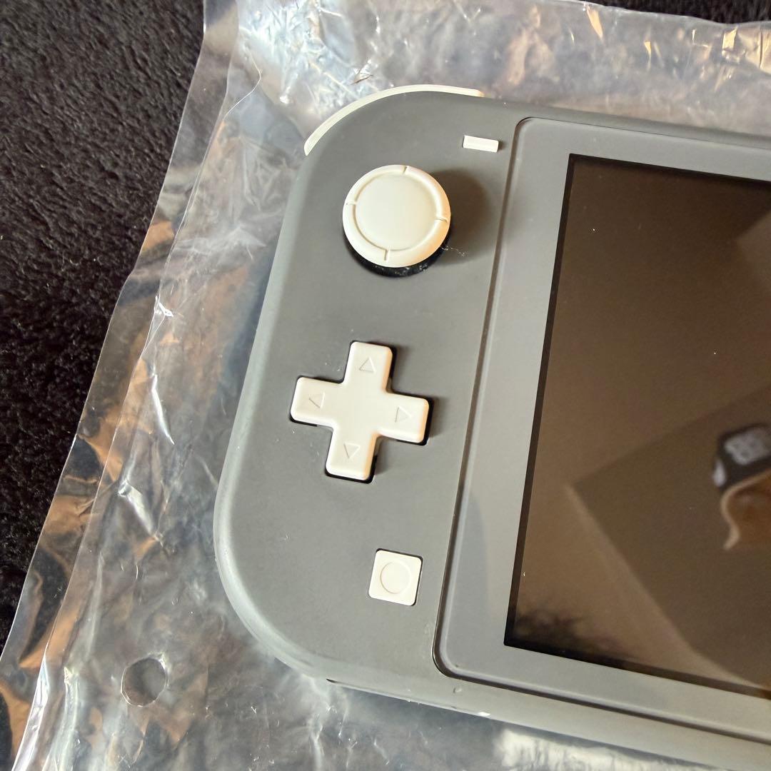 Nintendo Switch Lite グレー 本体　ケース付