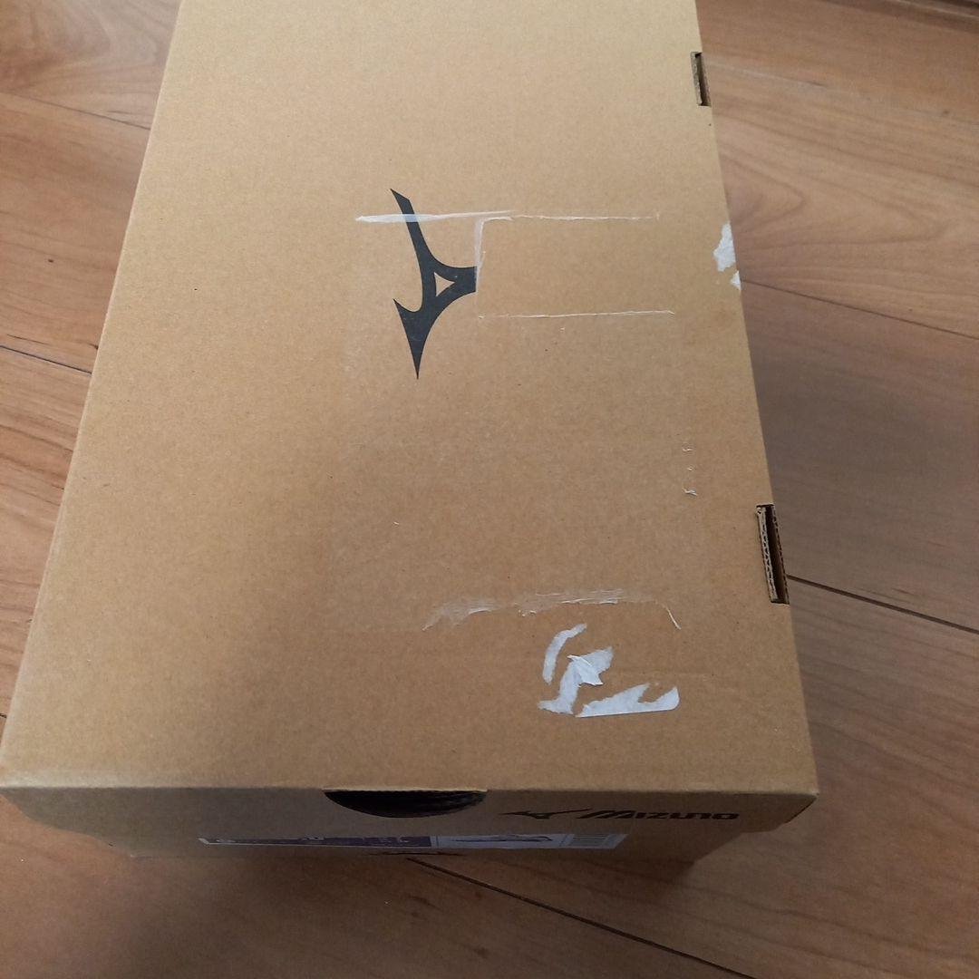 Mizuno Wave Lightning Z バレーボールシューズ　25.0