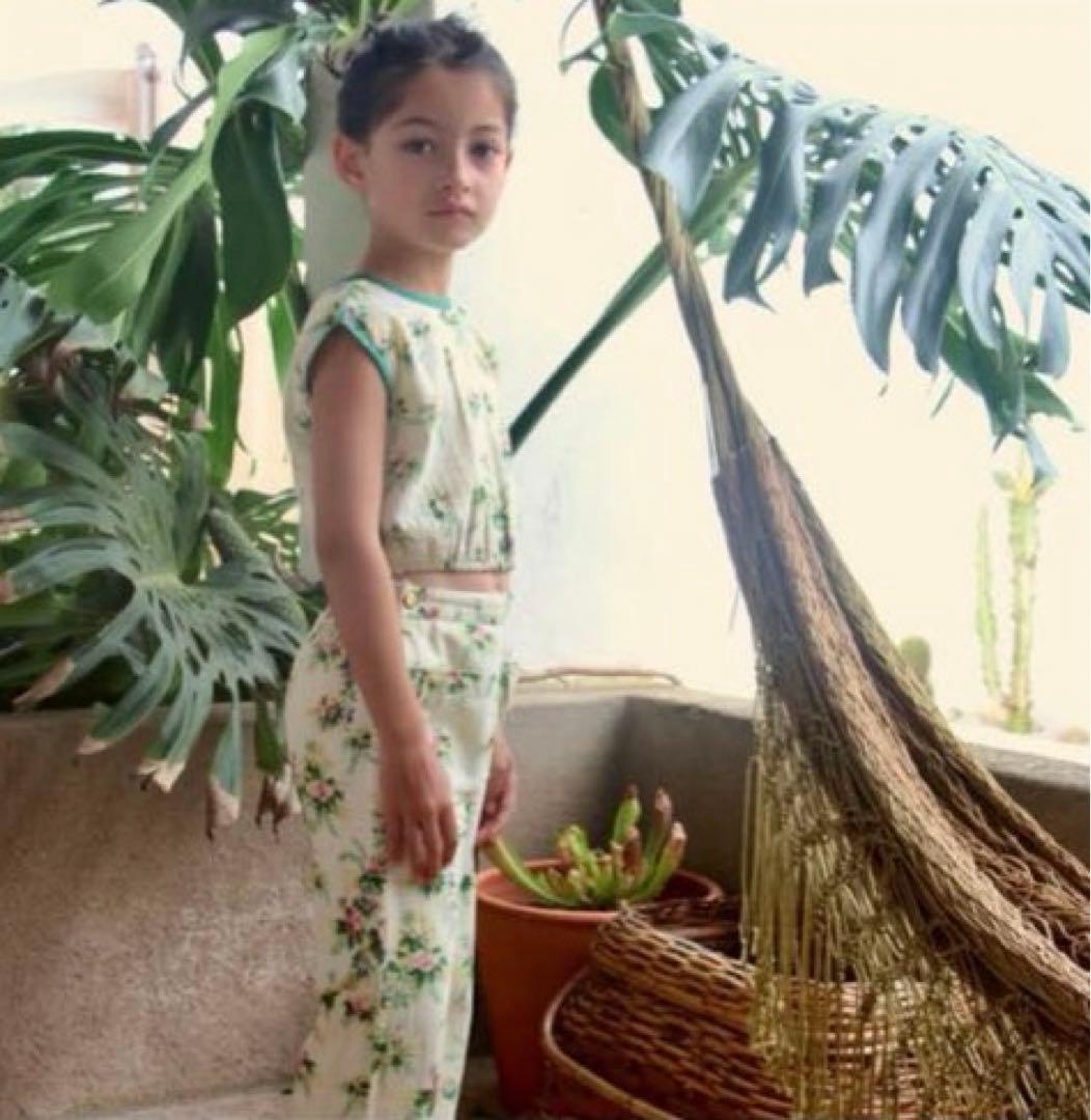 bonjour diary セットアップ