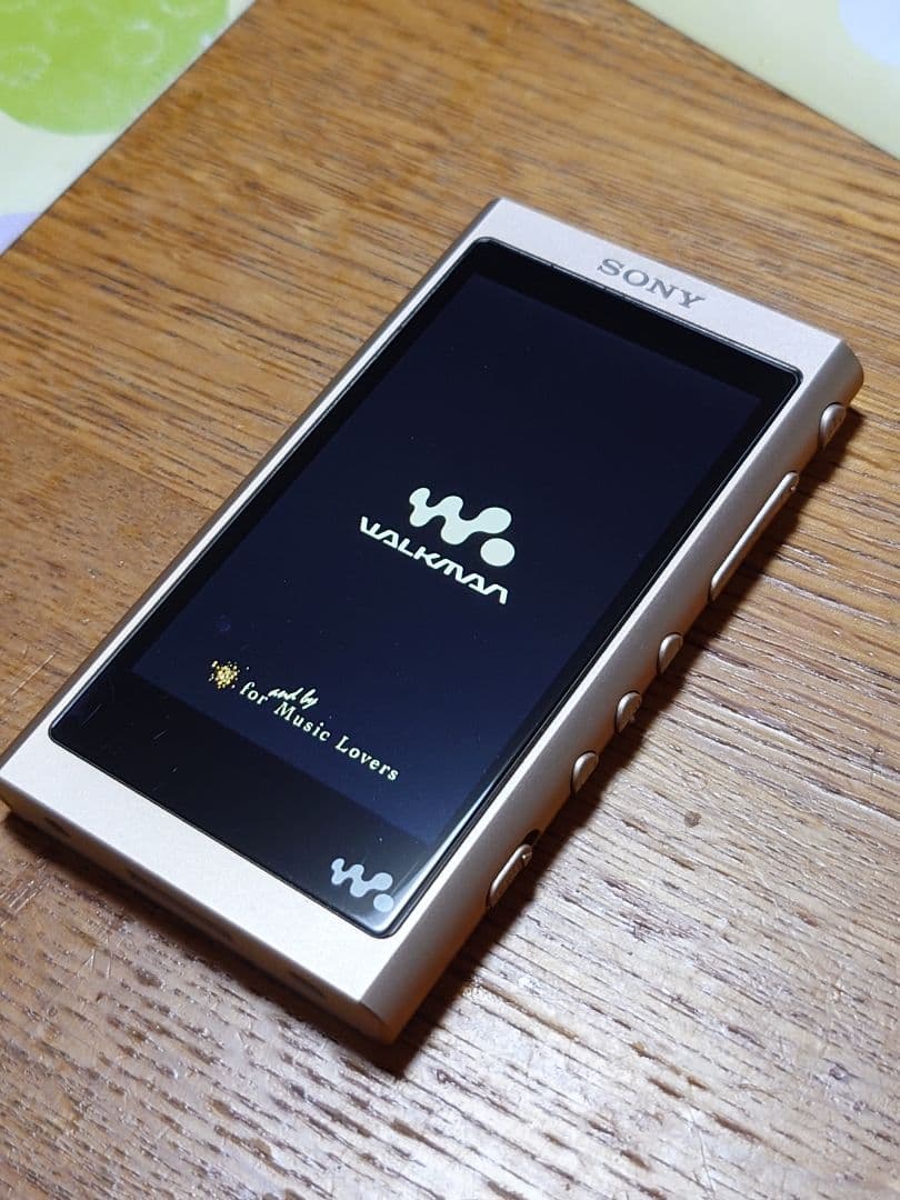 SONY NW-A55 ウォークマン『動作確認済　中古』