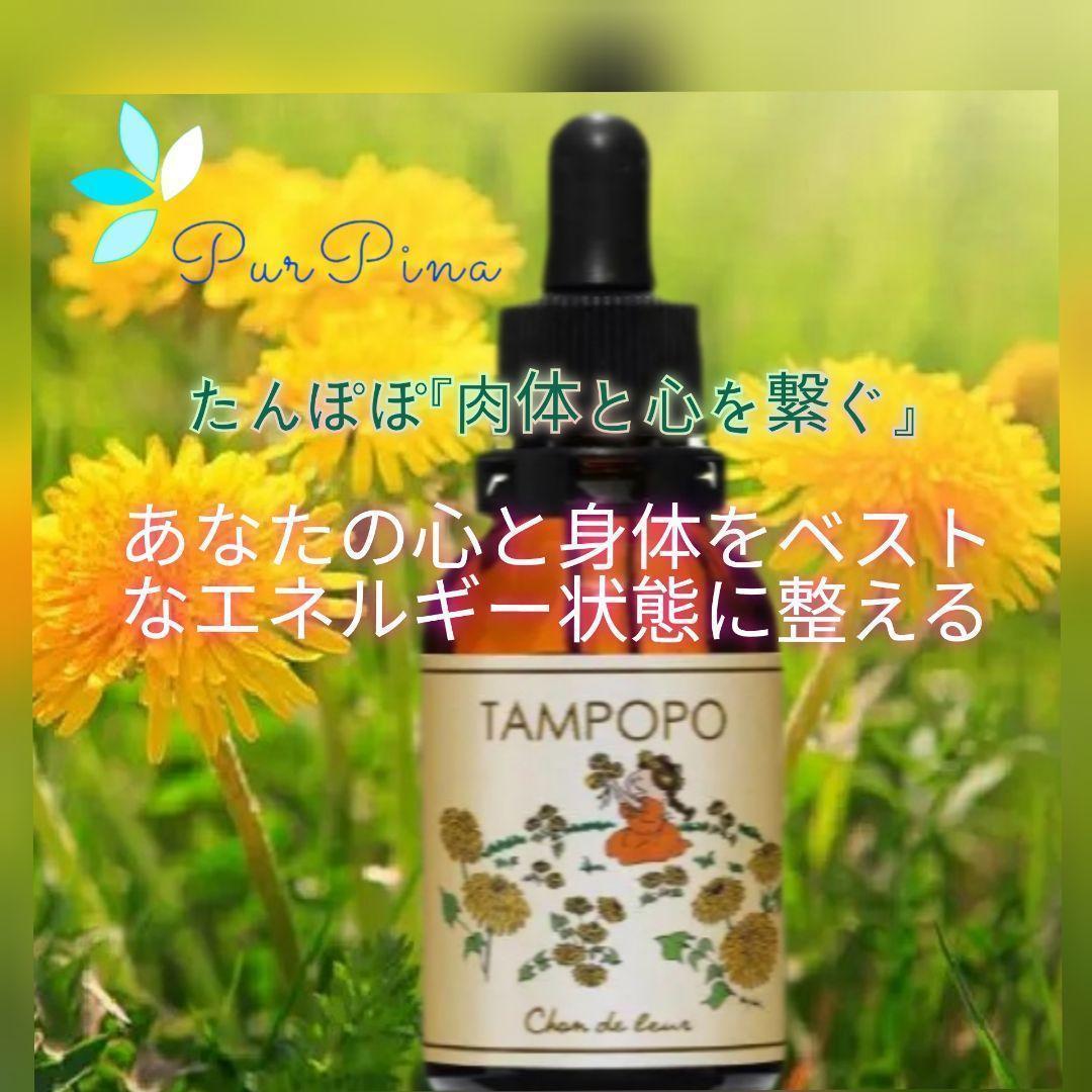 【専用】エマージェンシー『緊急』 オーストラリアンブッシュ フラワーエッセンス他