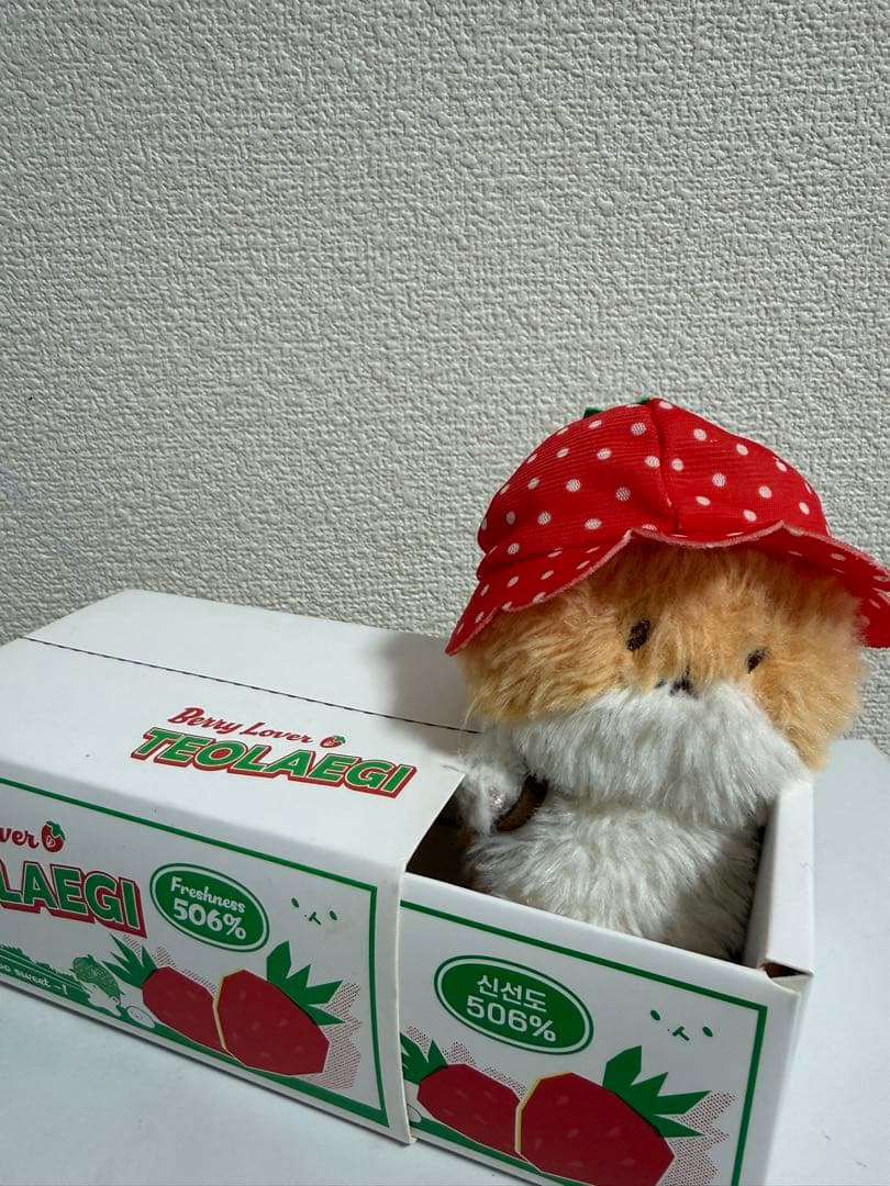 TEOLAEGI ぬいぐるみ いちご