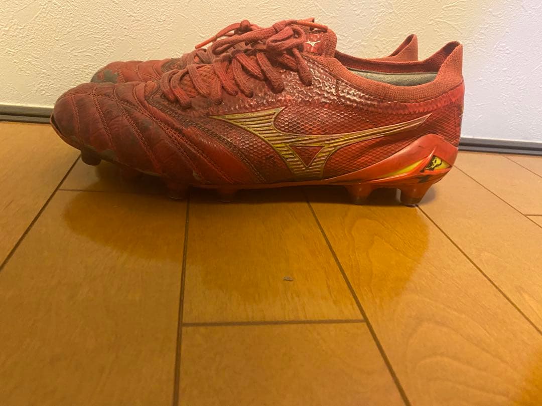 モレリアベータ25、5cm