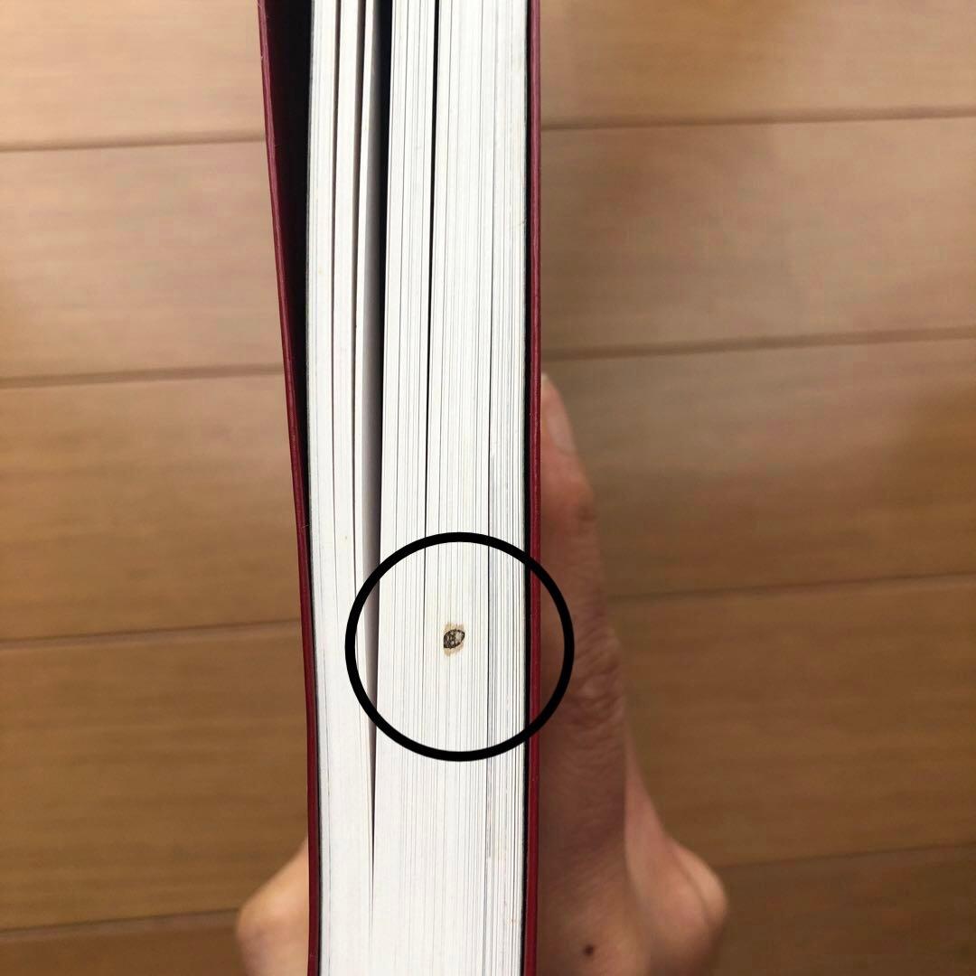 ペルシャ絨毯文様事典