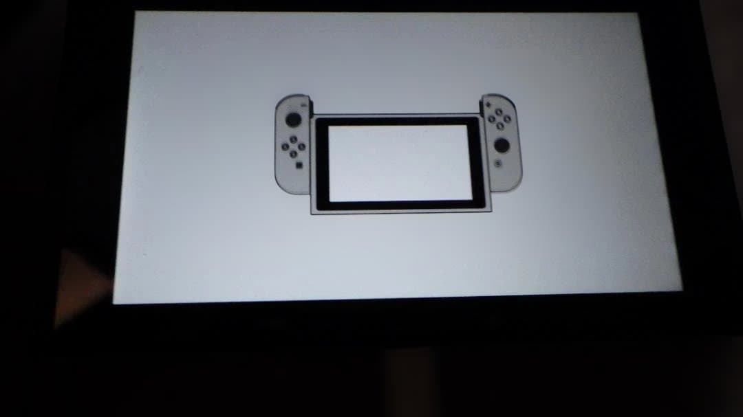 Nintendo Switch 本体 任天堂　スイッチ　付属品なし