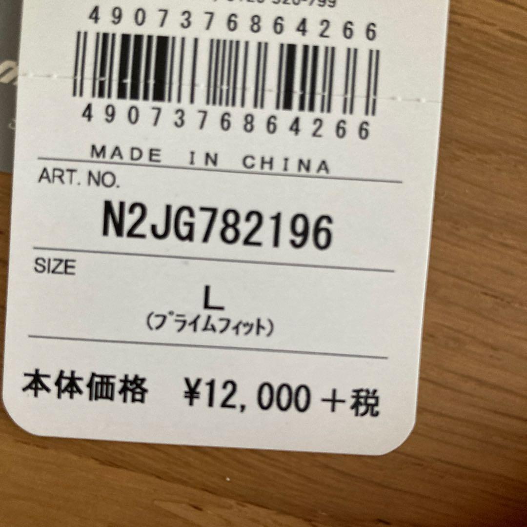 MIZUNO スポーツ水着　Lサイズ　セパレート