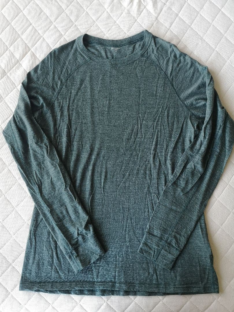 美品 フーディニ acrivist crew メリノウール LS メンズMサイズ