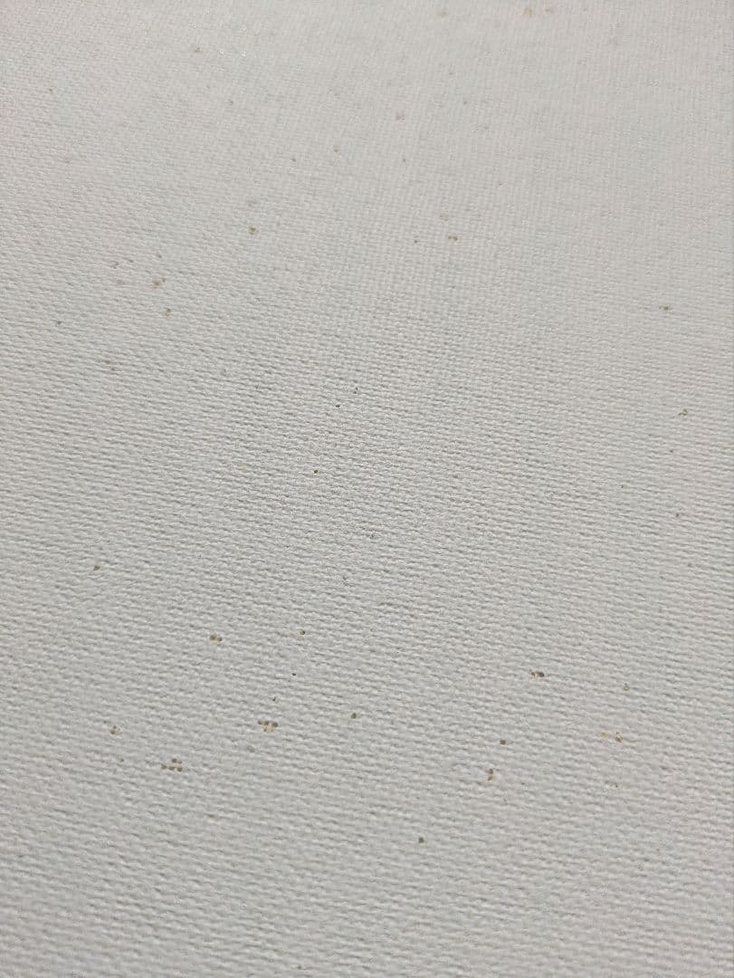 奈良美智 全作品集 1984-2010