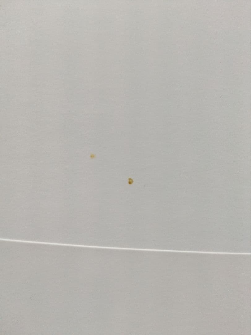 奈良美智 全作品集 1984-2010